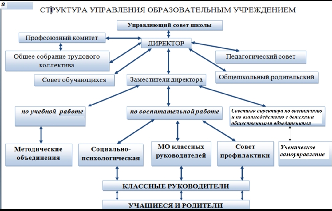 Структурные подразделения.